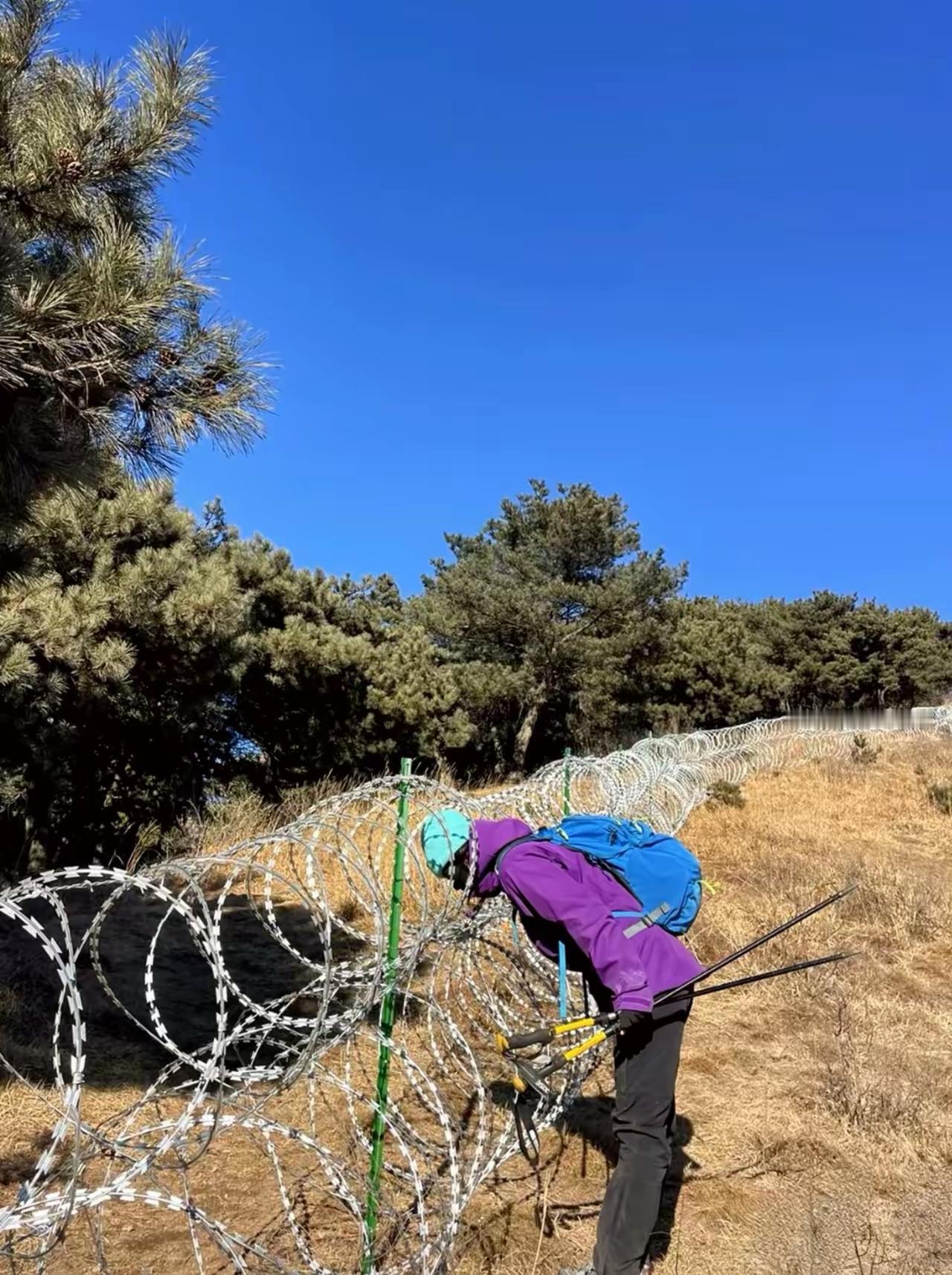 【为泰山隔离网说句公道话】最近“泰山135公里刀片隔离网”吵翻了天。有人说破坏景