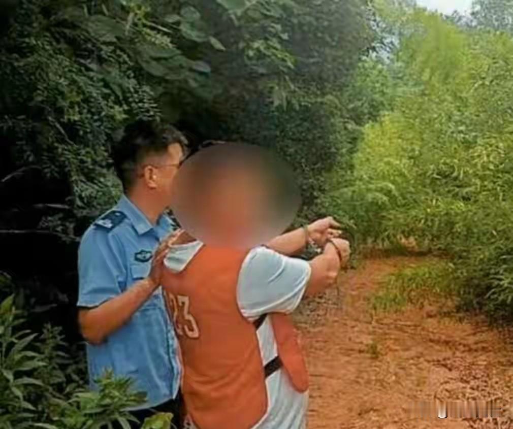 价值75000元！江苏两男子声诱抓捕15只，养腻放生后依旧被判坐牢近日，江