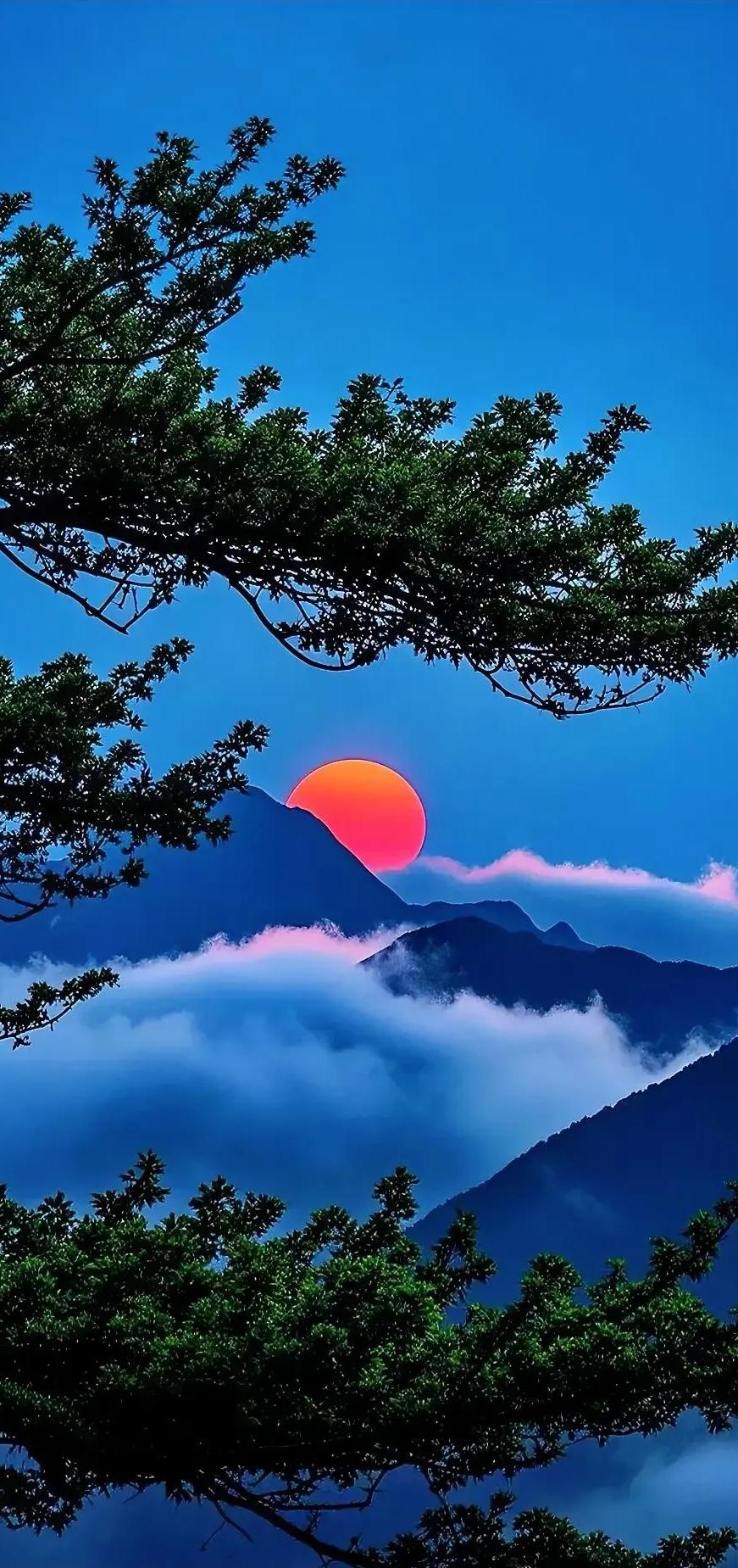 白天结束以后,太阳到哪里去了?太阳也需要回家休息休息啊。太阳的家人就在西方极