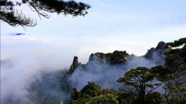 经典老歌100首 妇女自由歌 郭兰英.