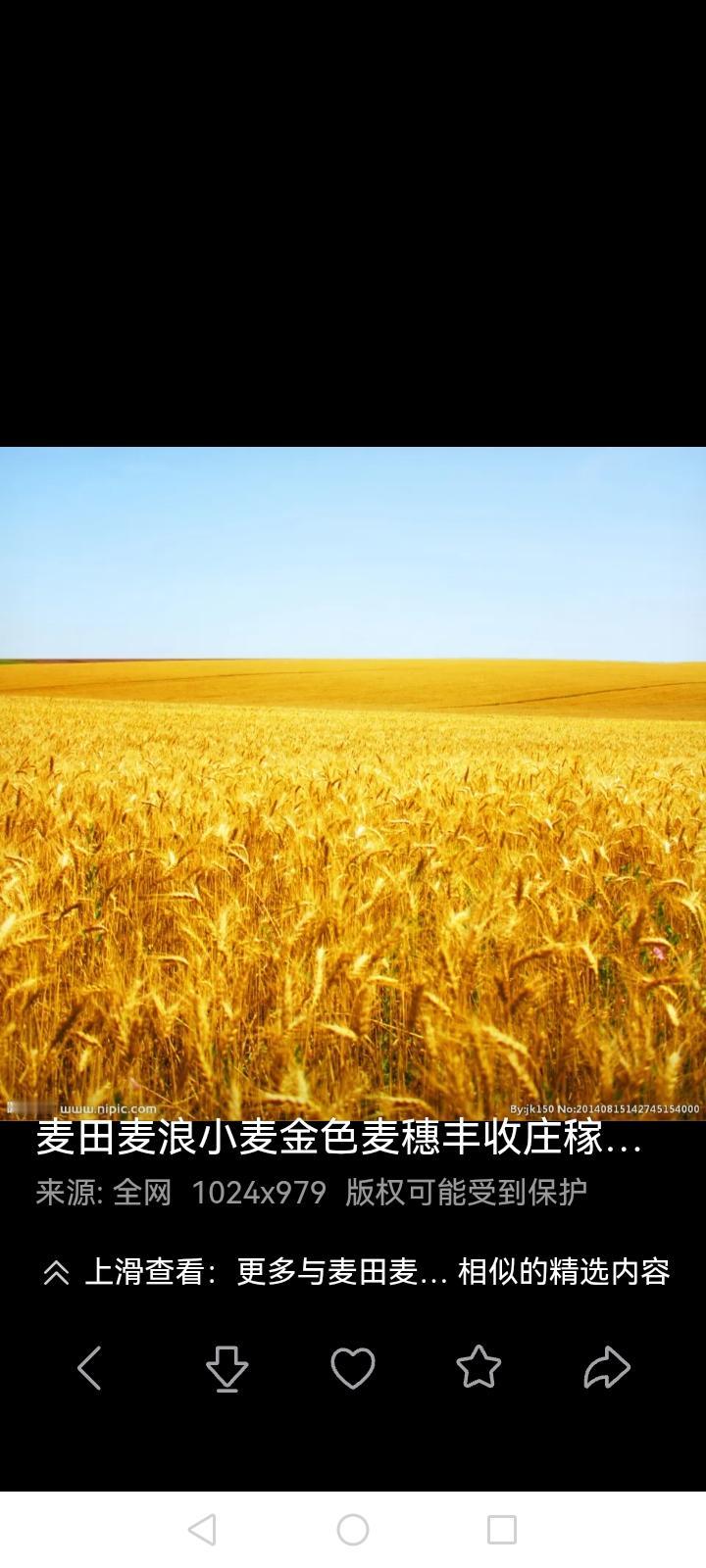 以前的标准面粉哪里去了内行人都知道，面粉的标准也没有硬性标准，它是根据出粉率来决