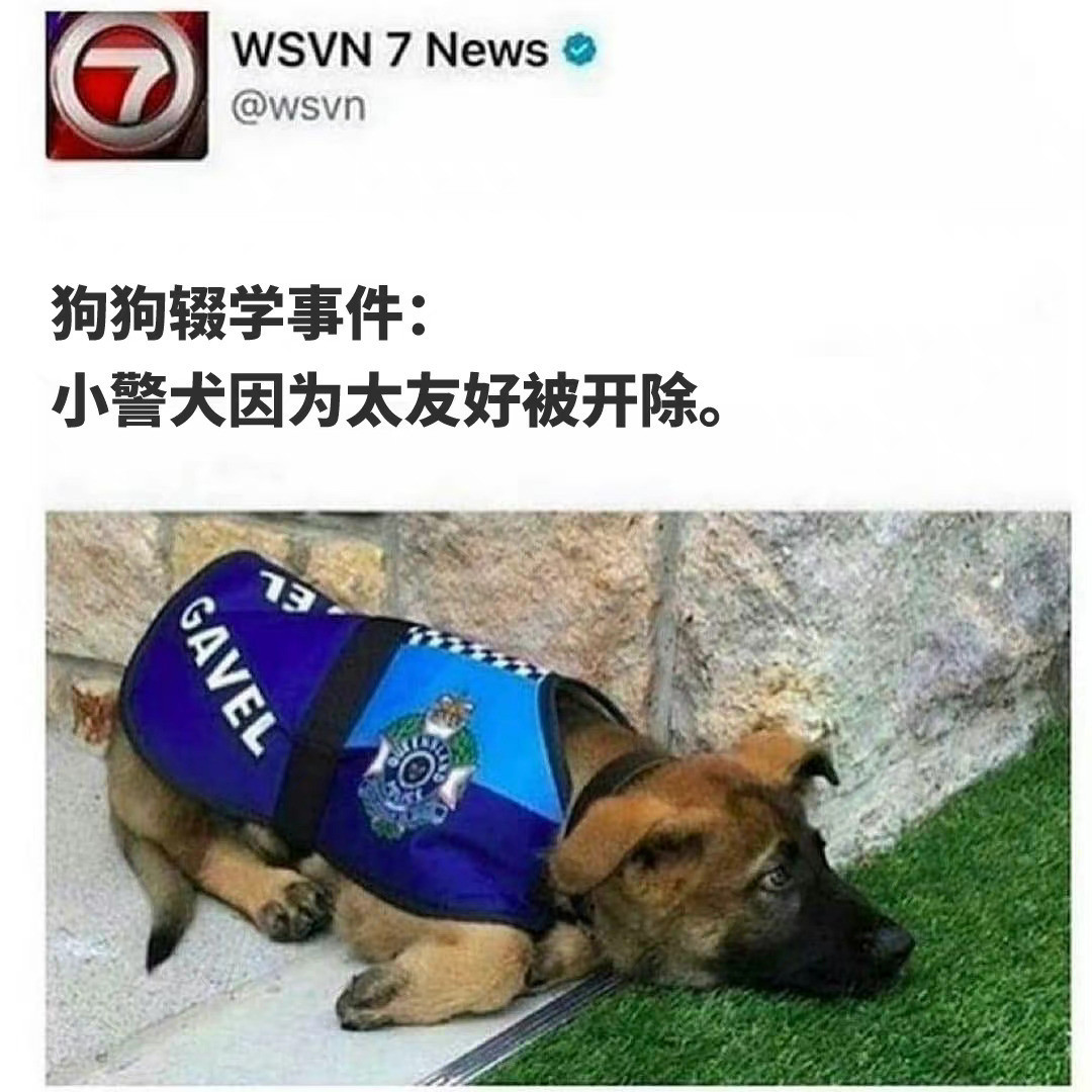 狗狗辍学事件：小警犬因为太友好被开除