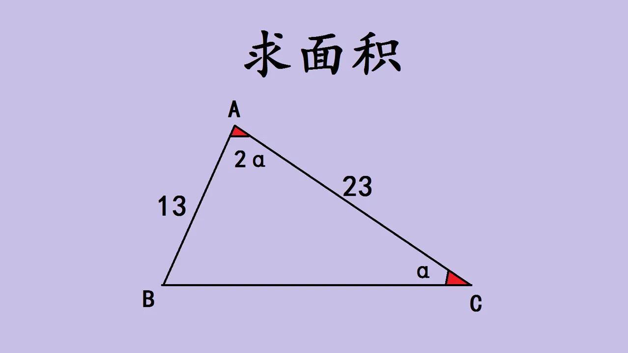 上海初中数学压轴题：一道三角形面积题，难倒无数学生，关键在这条辅助线在上海