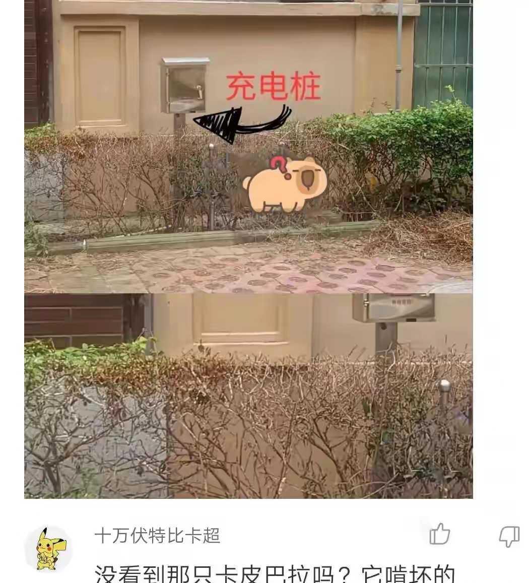 充电桩旁边的植物为什么会枯萎？