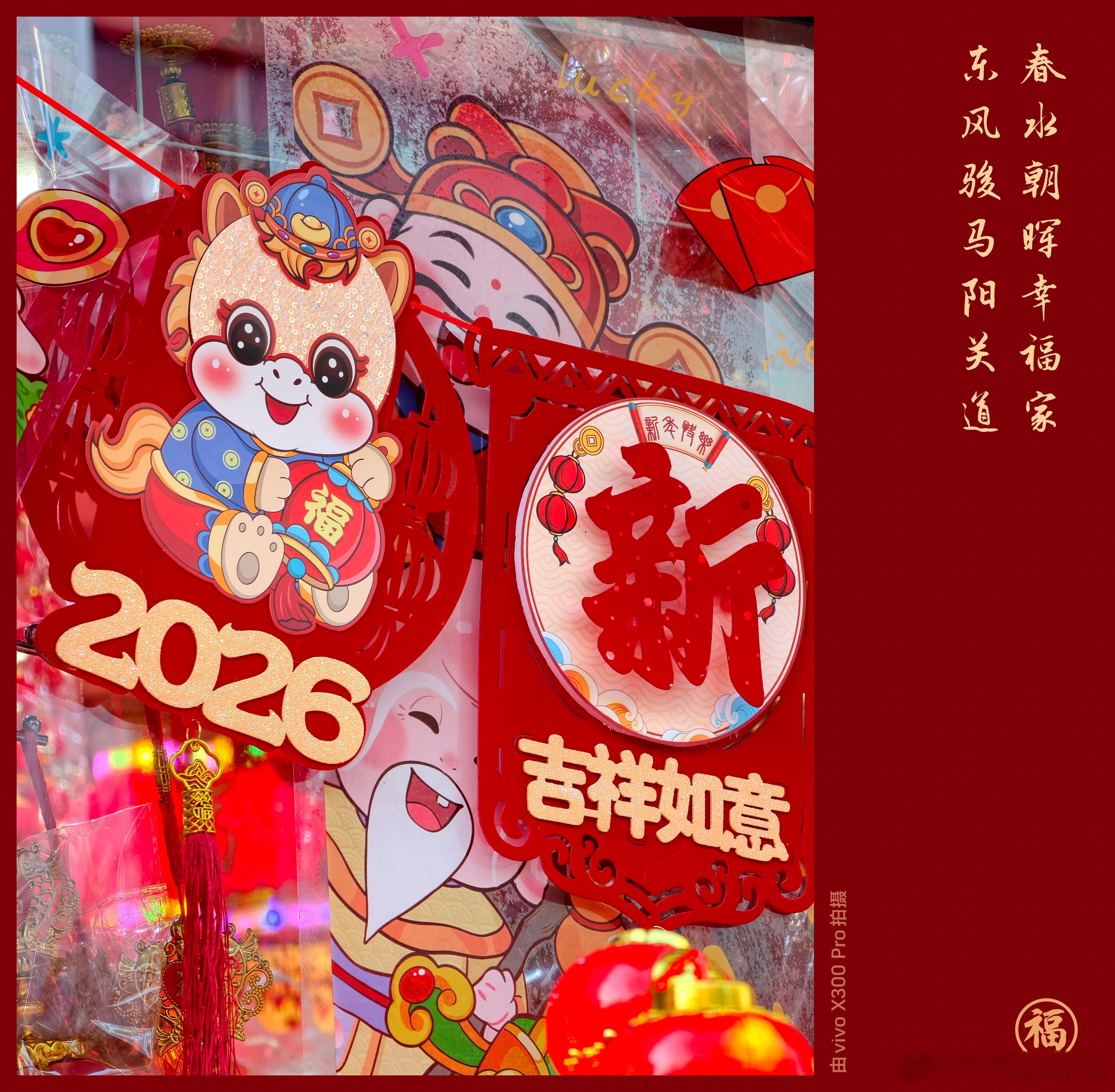 给大家看看这两天我用vivoX300Pro拍的样张，是不是年味儿溢出屏幕