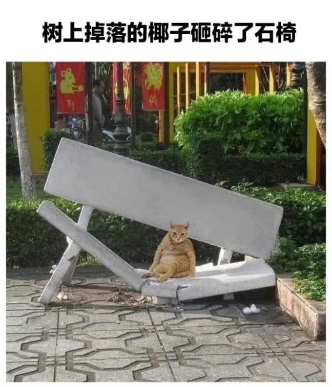 大自然是一个巨大的猫猫不太会找话题的猫猫/猫meme​​​