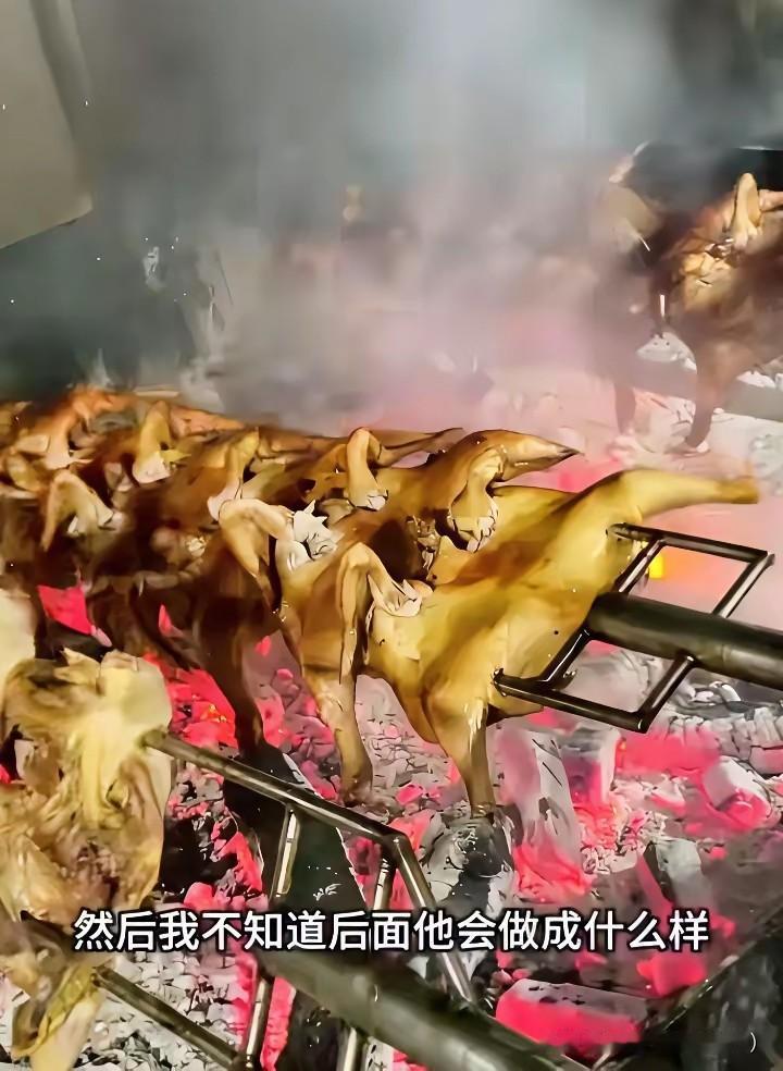 烤鸡少年的扩店计划终止了把路边摊做成夜市“网红烤鸡”的小宇，刚要扩店就被人“踩