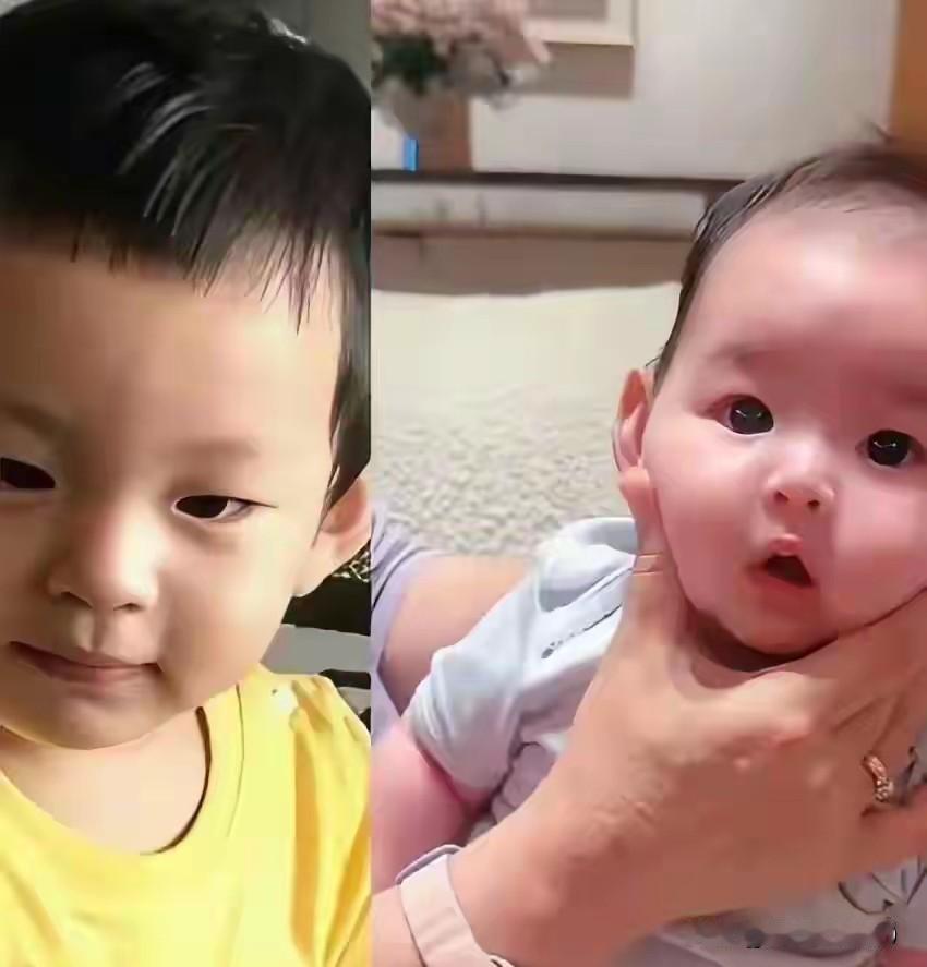 熟悉汪家孩子的网友都知道，小箖箖一直被大家夸赞是三姐弟里品相最优、头脑聪慧、情商