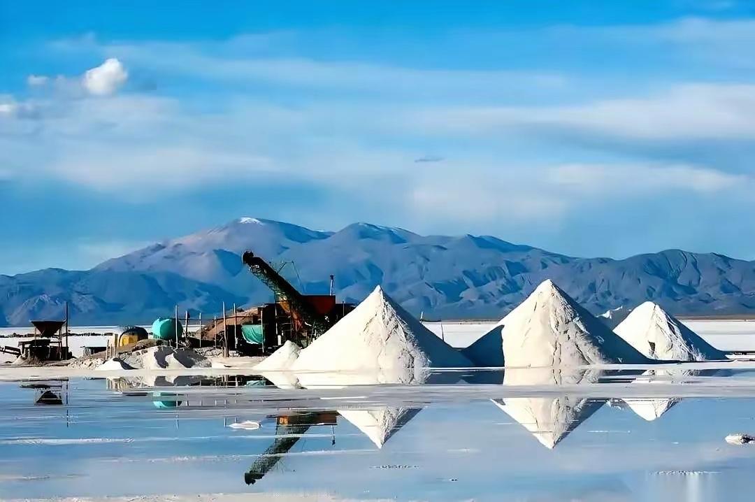 非洲十几个国家，最近突然集体干了一件大事。津巴布巴一声令下，码头上已经装满锂矿