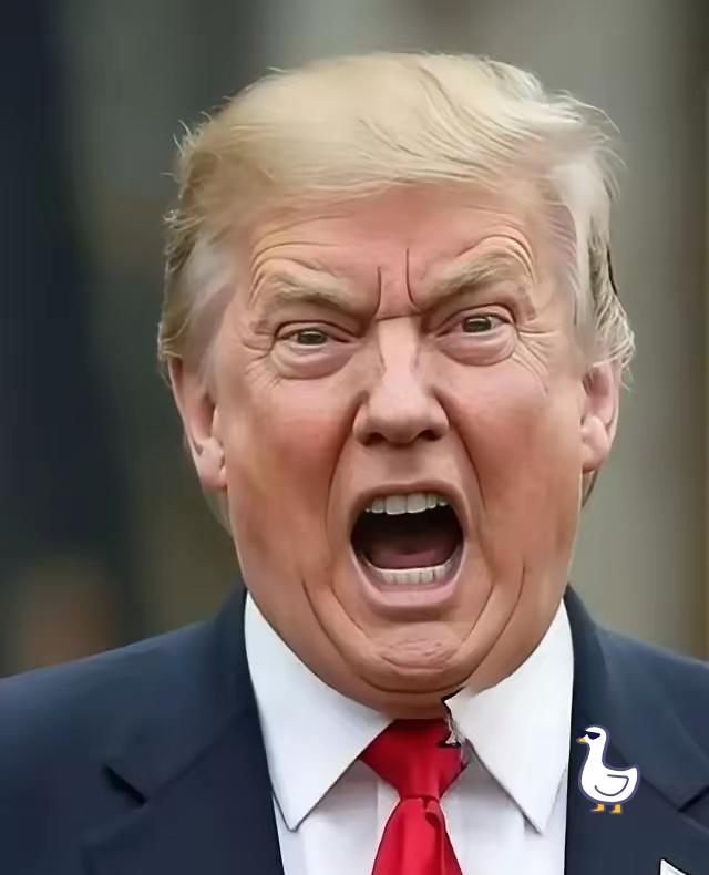 还不如去抢美国总统突然宣布：2月3日，美国总统特朗普在社交媒体上宣布：向哈佛