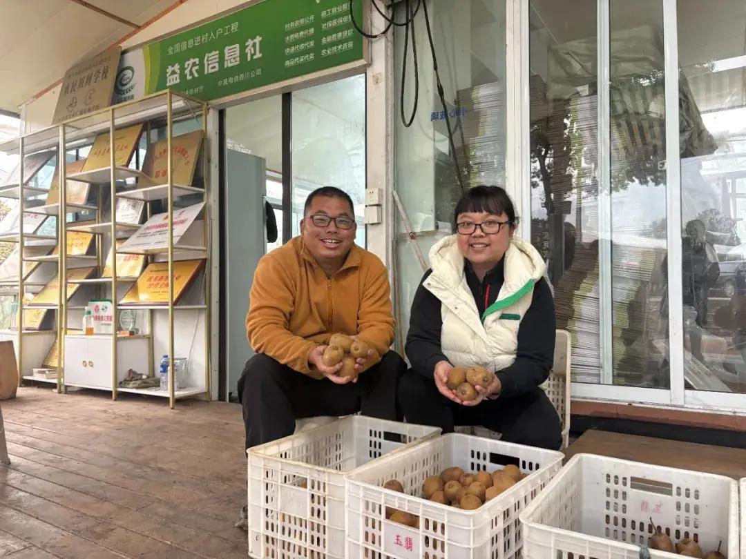 2013年，绵竹女孩李治菲和丈夫邓方贵已在成都最大的猕猴桃种植基地的龙头企业工作