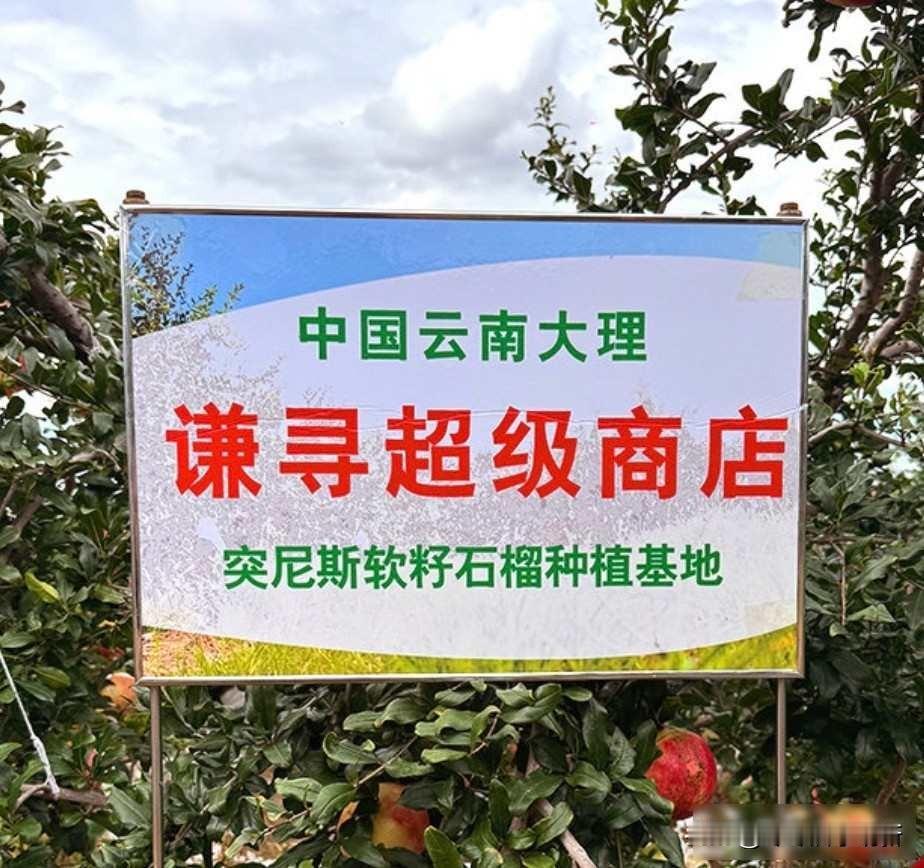直播助农六年路，一场直播改写乡村命运，背后藏着薇娅的十年秘密逛完今年的数贸会