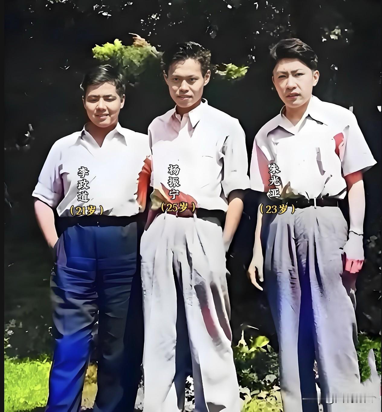 三位留学生合影1947年在美国密歇根大学的安娜堡校区里面的公园里，三位中国留