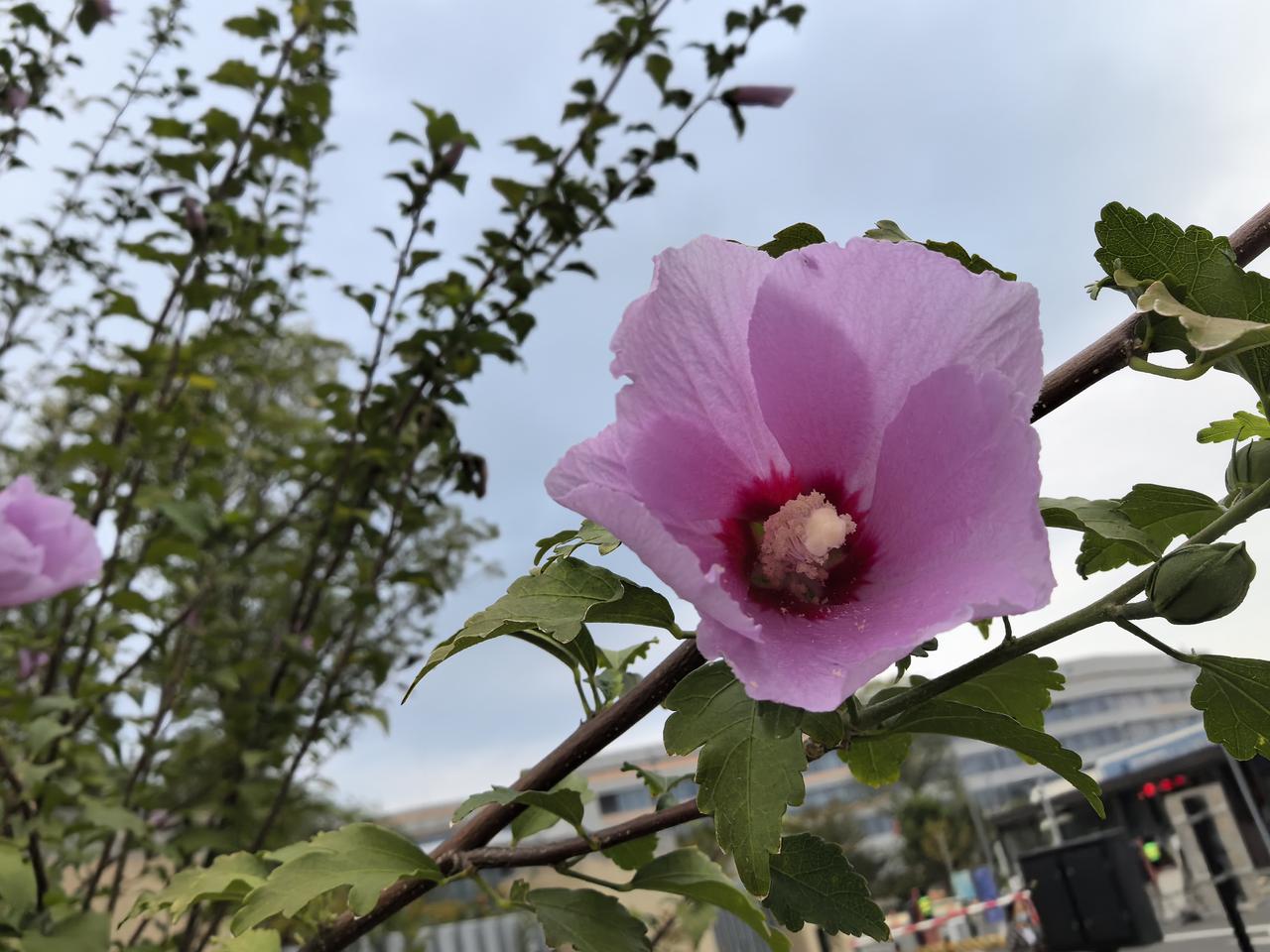 退休一年小结一下时间过得真快，转眼退休快一年了。去年这
