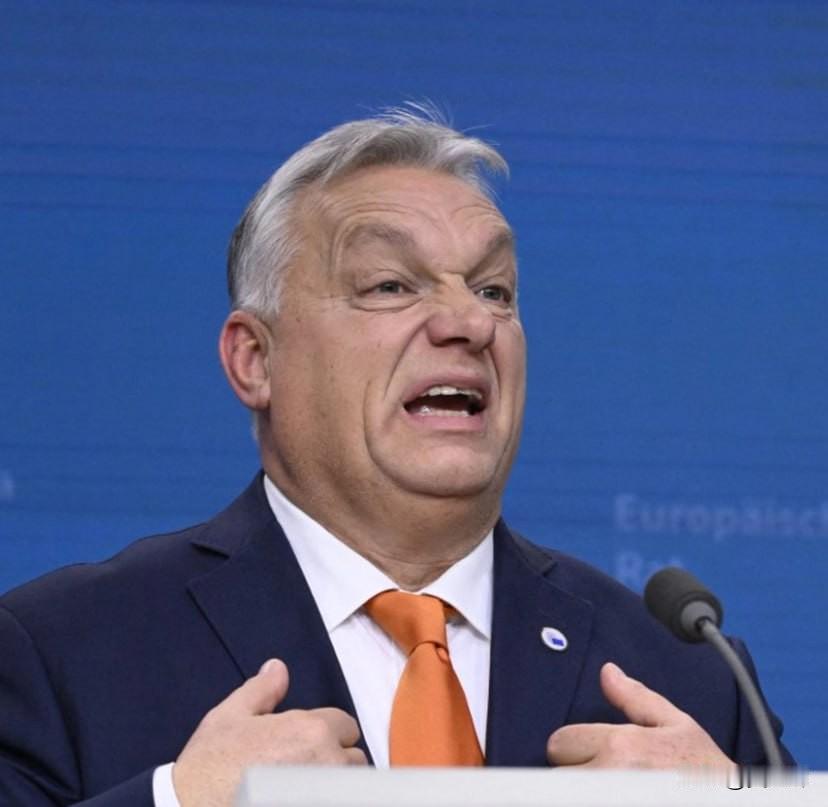 欧尔班：这份计划是对匈牙利的公开宣战匈牙利总理欧尔班就Politico关于