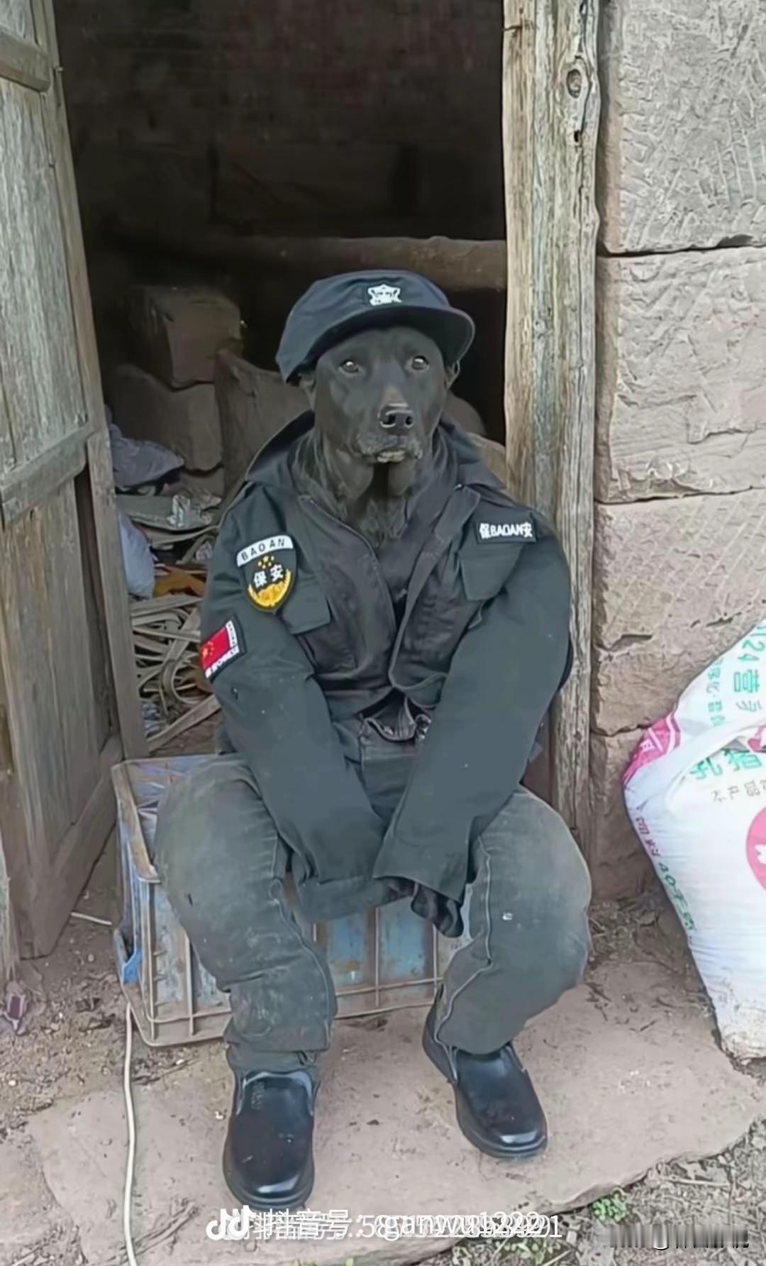 有没有介绍一个好点的工作，天天有大米饭吃的工作，好心人哪，求求你们啦[笑着哭]