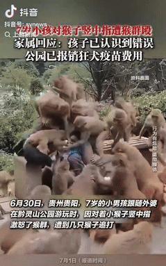 “胆子也太大了！”7月1日，贵州贵阳，一7岁男孩和外婆在公园玩耍，却突然对着猴子