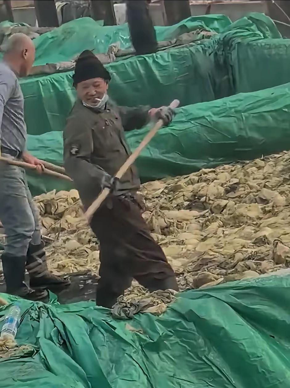 辽宁省兴城市市场,酸菜池作业工作人员抽烟并吐痰。引起广大网友的不满,你穿着鞋在上