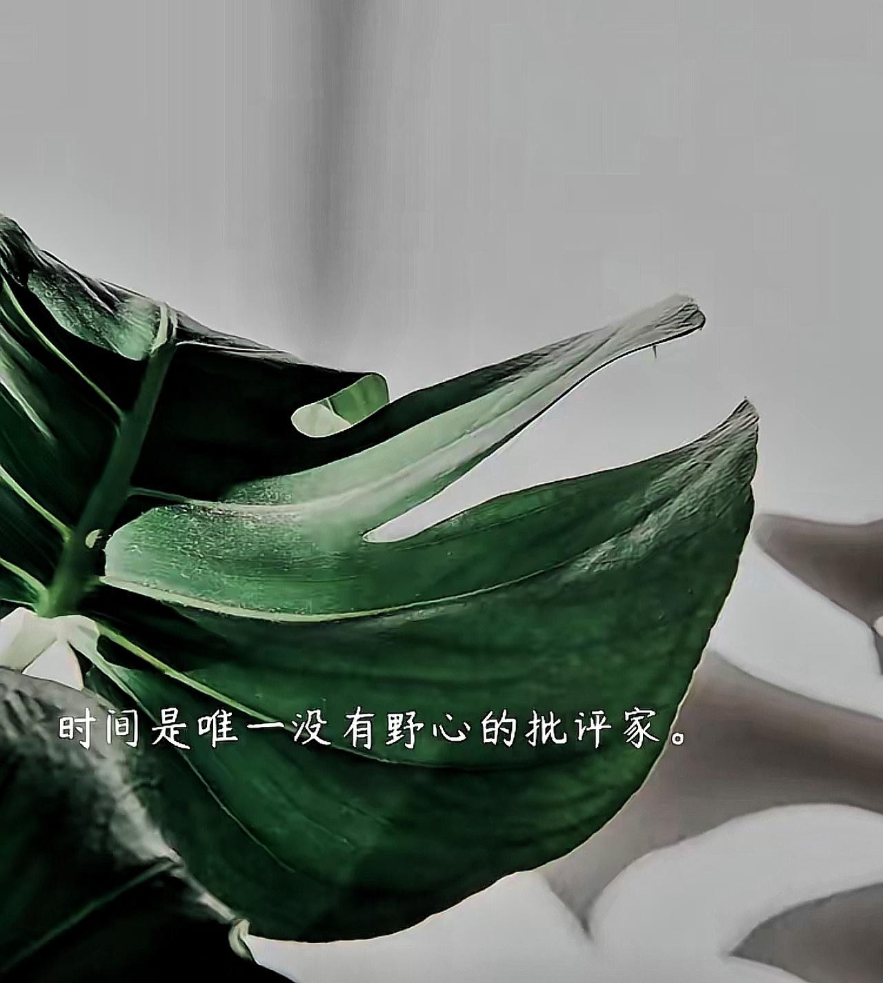 老公用金项链换我回婆家过中秋？有些伤，不是首饰能抹平的！老公说中秋带他回婆家