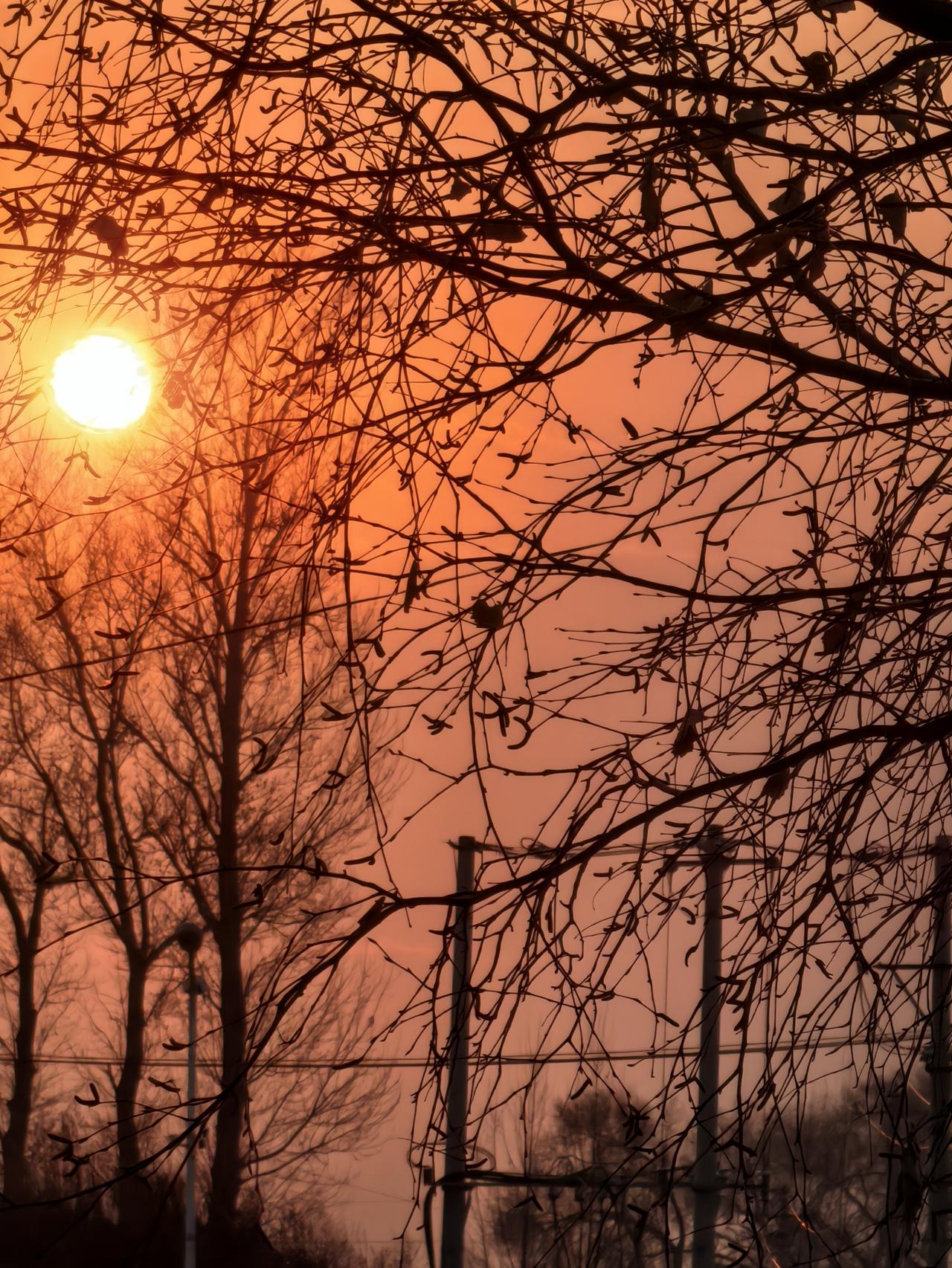 两个二婚的人走到一起,会幸福吗?我觉得二婚走在一起会幸福。前提就是再生一个孩子