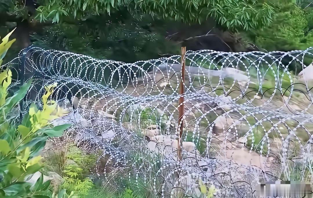 山东文旅是万万没想到呀。绞尽脑汁想到的广告语“好客山东欢迎您”，既经典又接底气，