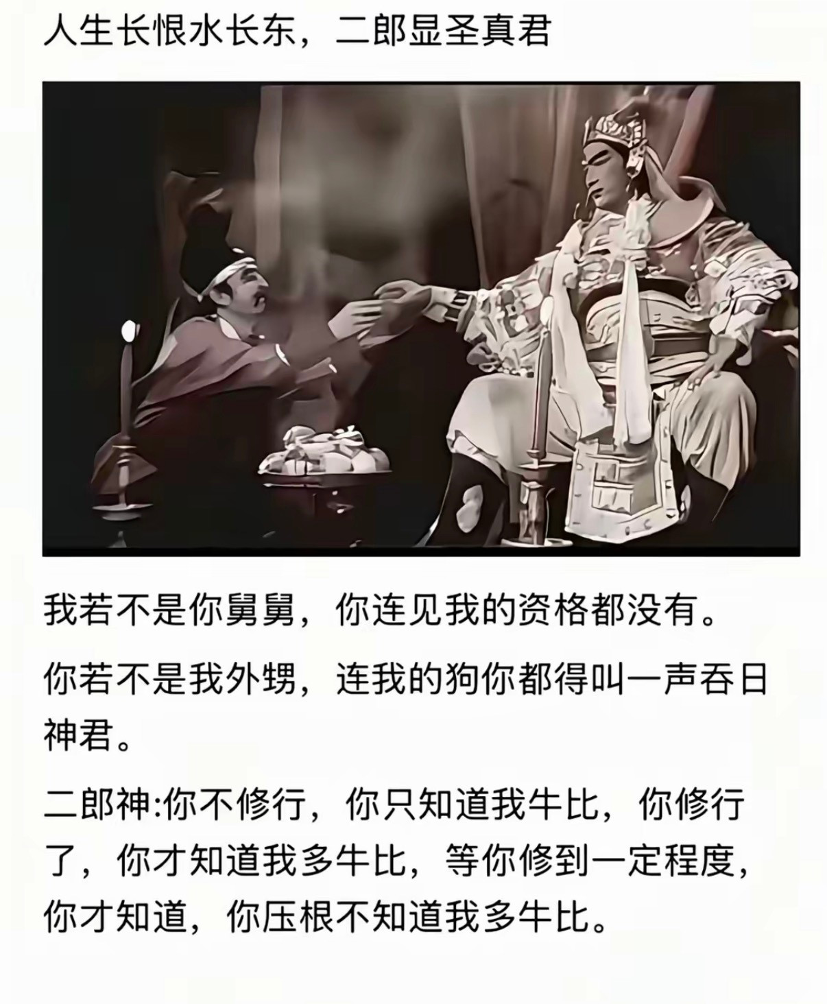 你被猴子耍过