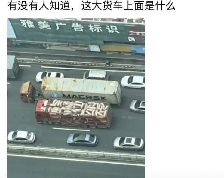 车上是什么
