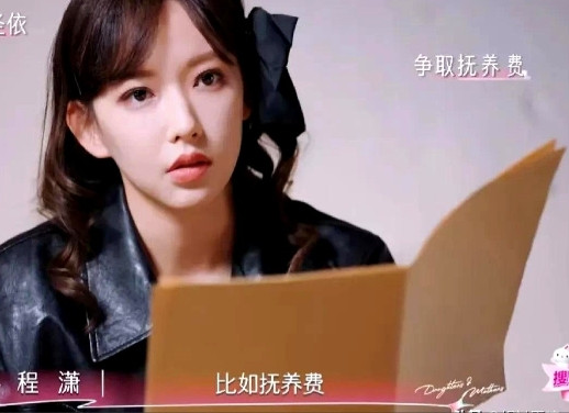 程潇非常严肃的对黄圣依说：“如果我是你的话，离婚的时候我会争取更多的权益，比如抚