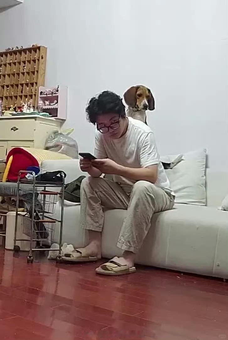 自来熟这一块儿捡来的狗第一天就站在我头上爆笑段子研究所