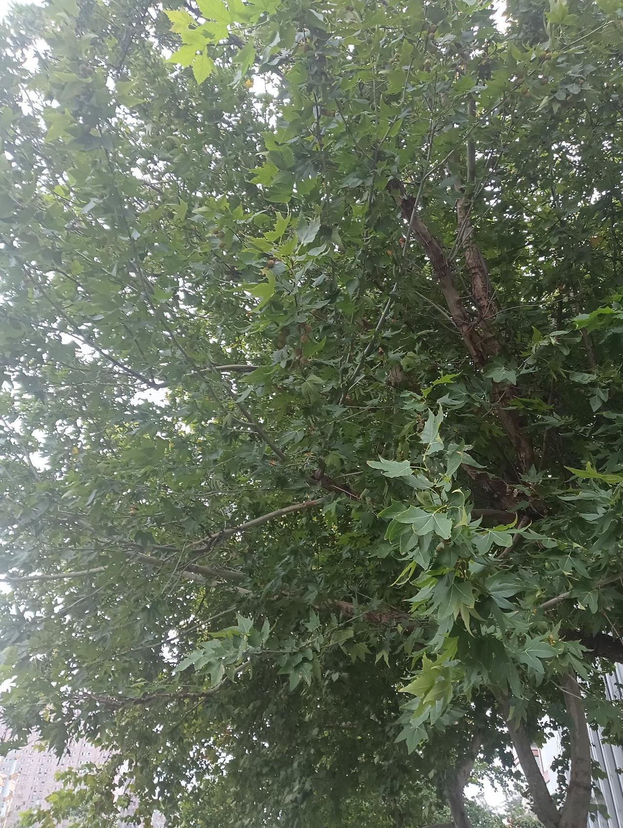 下午吃完饭就出来找工作了，先在家附近的超市，饭店都问了问，其中有一个超市老板说你