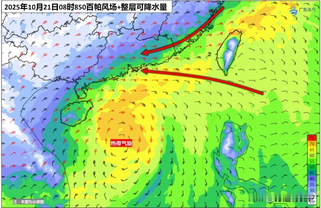 5. 台风“风神”生成路径公布深圳受影响气温速降10℃以上：今年第24号台风“