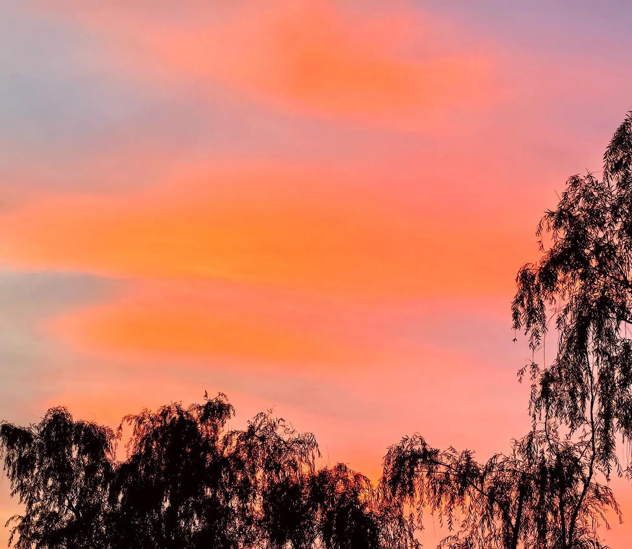 落日余晖映树影，静谧如画入诗行。#余晖治愈系风景#