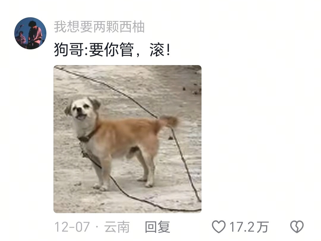 稍等，大街不是我地盘