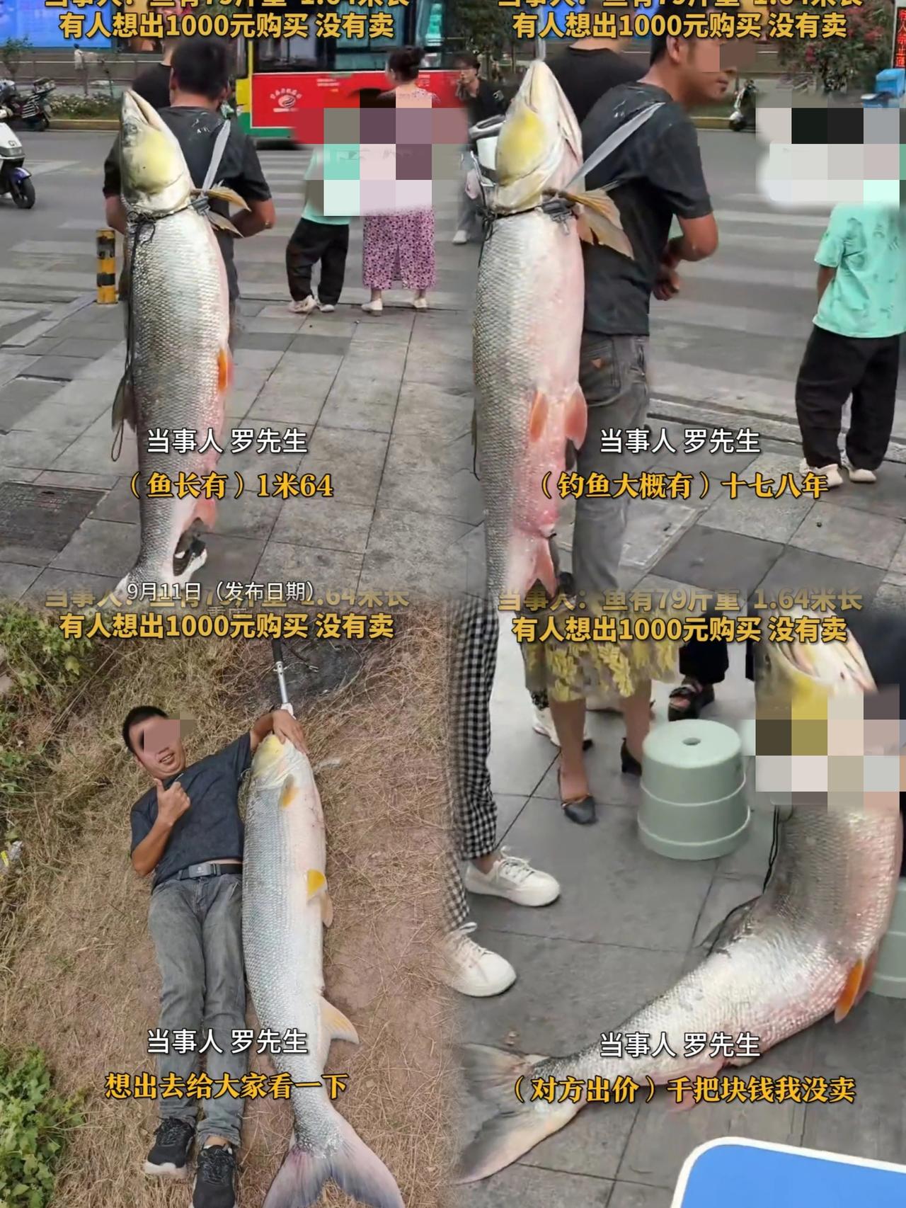 如果炫耀分等级，那这绝对是最强王者！钓鱼佬钓上“大货”，背着鱼满街溜达，谁曾