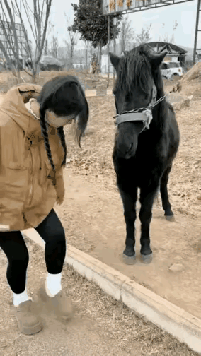 驴说：真是傻妞，还好意思笑。女孩：我哪里错了，不就是用脚刨个土吗？驴说：真蠢