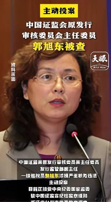 牛市已经在路上了……现在新开户的股民太多了……