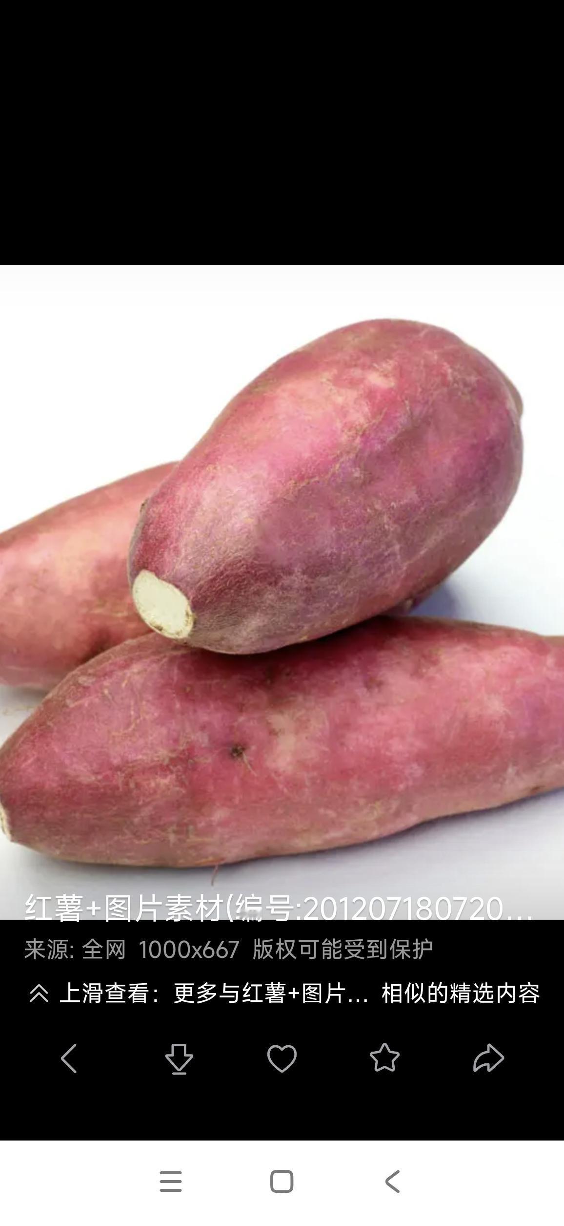 小心“有毒的红薯”红薯富含膳食纤维，有助于控制血糖、改善便秘，还能保护视力、调