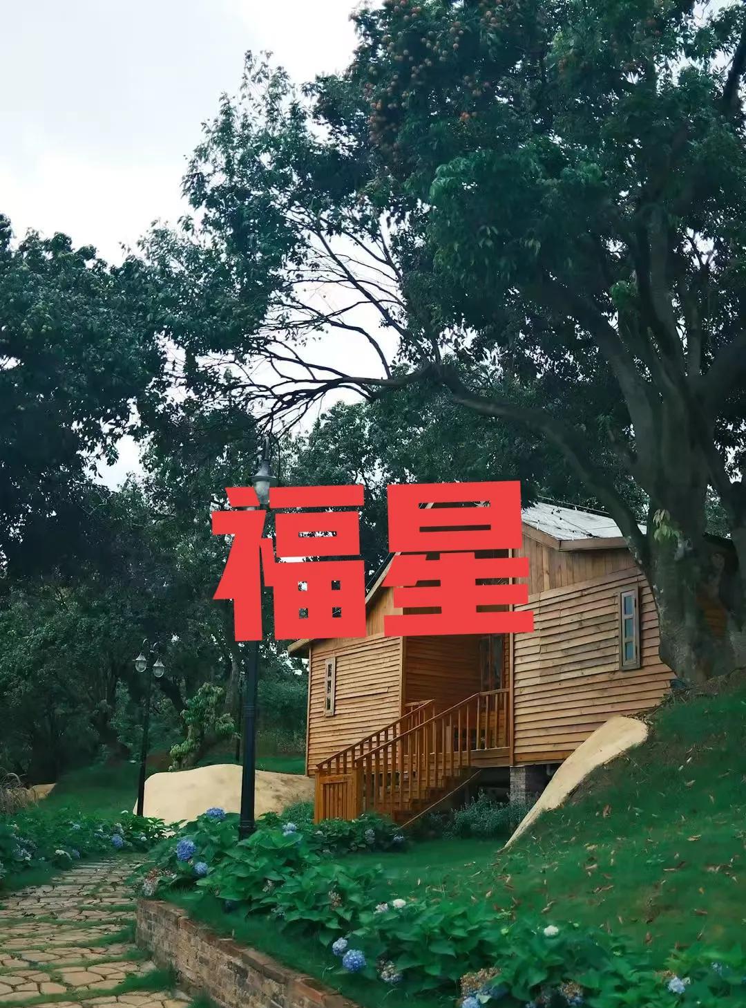 年支查