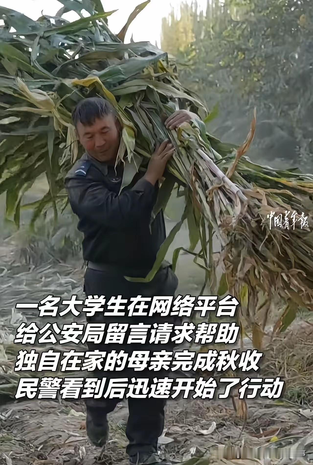 警徽映田野，服务暖民心：于田公安用行动诠释初心引全网点赞近日，新疆于田县公