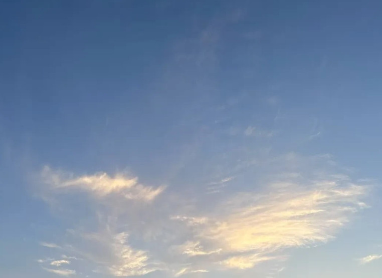 我邻居，今年55岁了，去年妻子不幸因病去世。这位邻居是正科级干部，儿子女儿均已成
