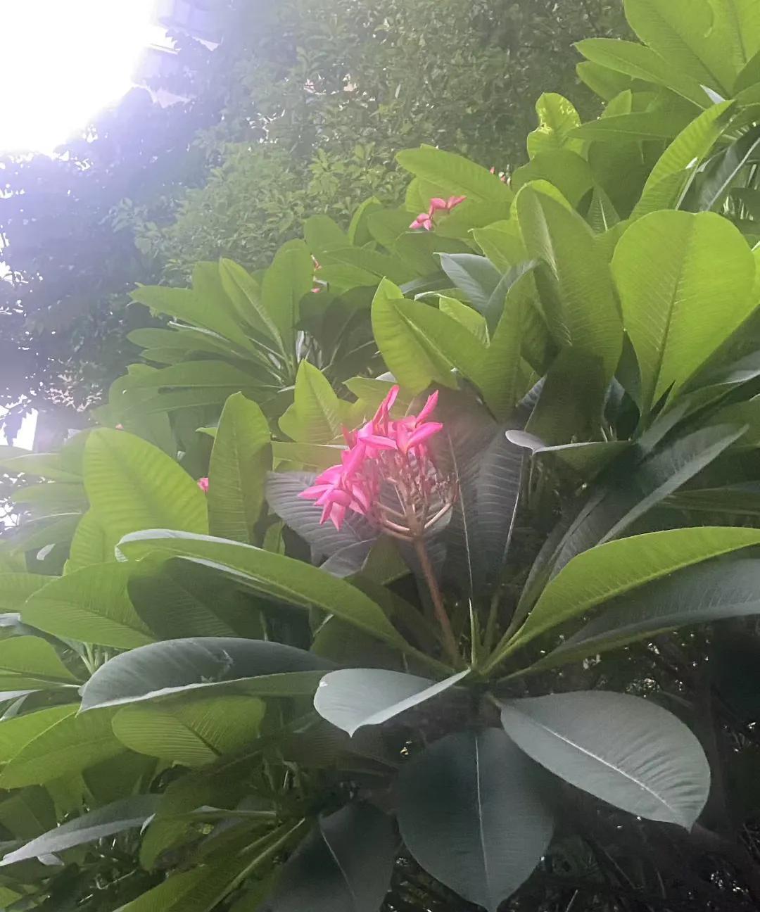 穷人由于贫困，他们特别相信命运，相信风水，迷信一些事物，相信祖坟冒青烟之类的说法