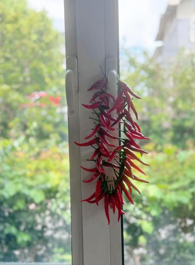 不得不信的玄学房子怎样越住越旺1. 厨房里可以放一些干辣椒，最好是成串那种