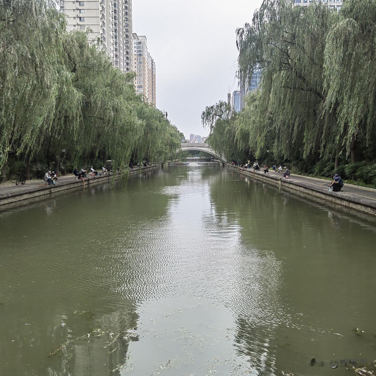人生无常，很多时候你真不知明天和意外哪个先到？下午上班，小区门口遇到了同是上班