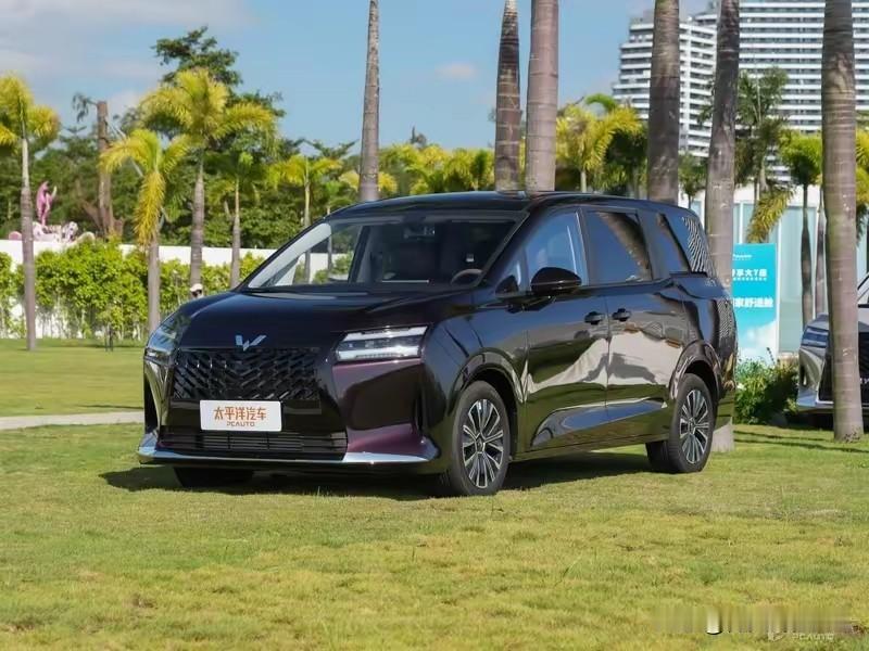 星光730是上汽通用五菱推出的7座MPV,定位“全能舒享大7座”,提供燃油、插混