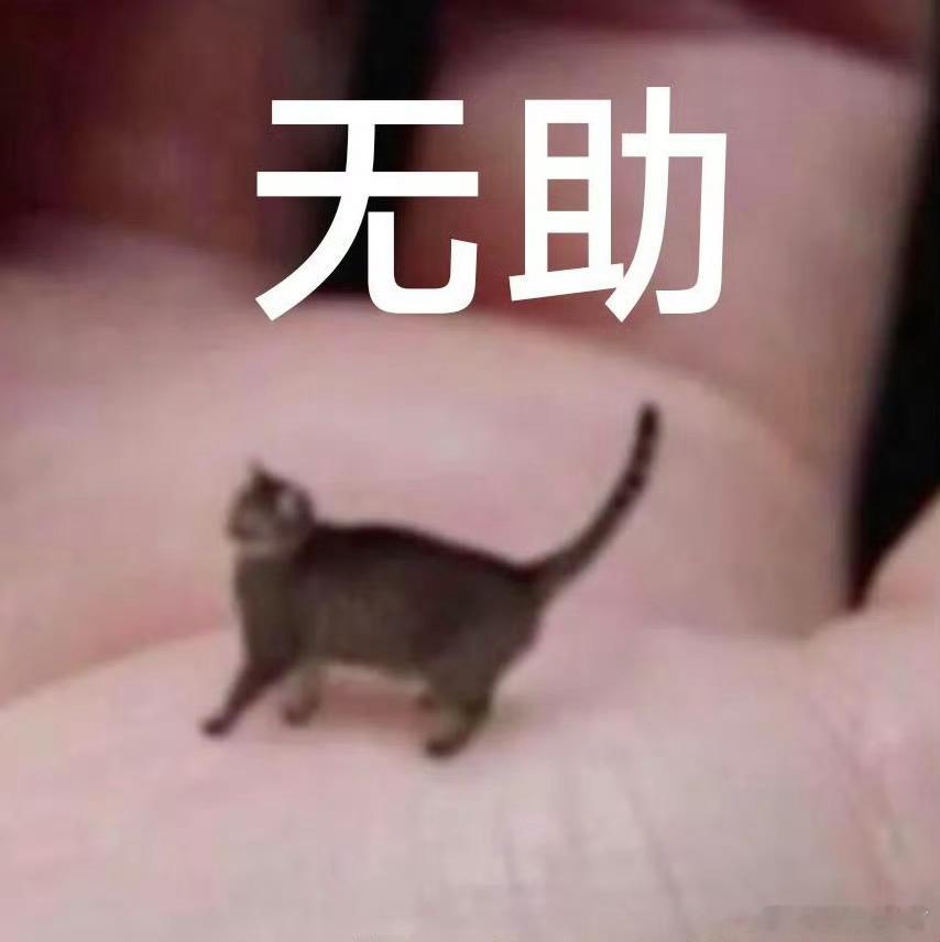 我真服啊。刷到一个帖子，说在网上怎么判断对方是年纪比较大的人，有人回复说“年纪大