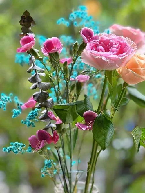 〖糖尿病慢性病〗认定咋就那么难？二姑患糖尿病7、8年了，想办〖糖尿病慢病〗，去