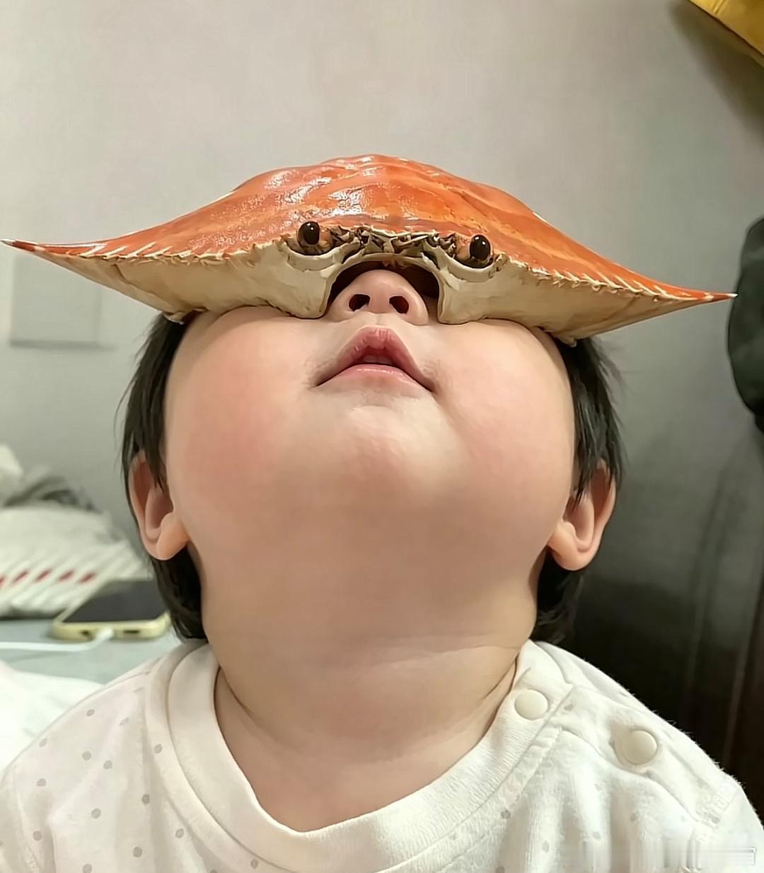 收手吧阿祖，外面全是梭子蟹！
