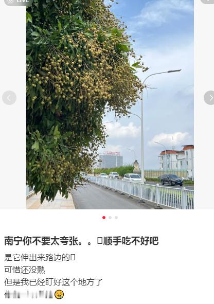 广西啥意思！！？你管这叫绿化带啊（想问能吃不）