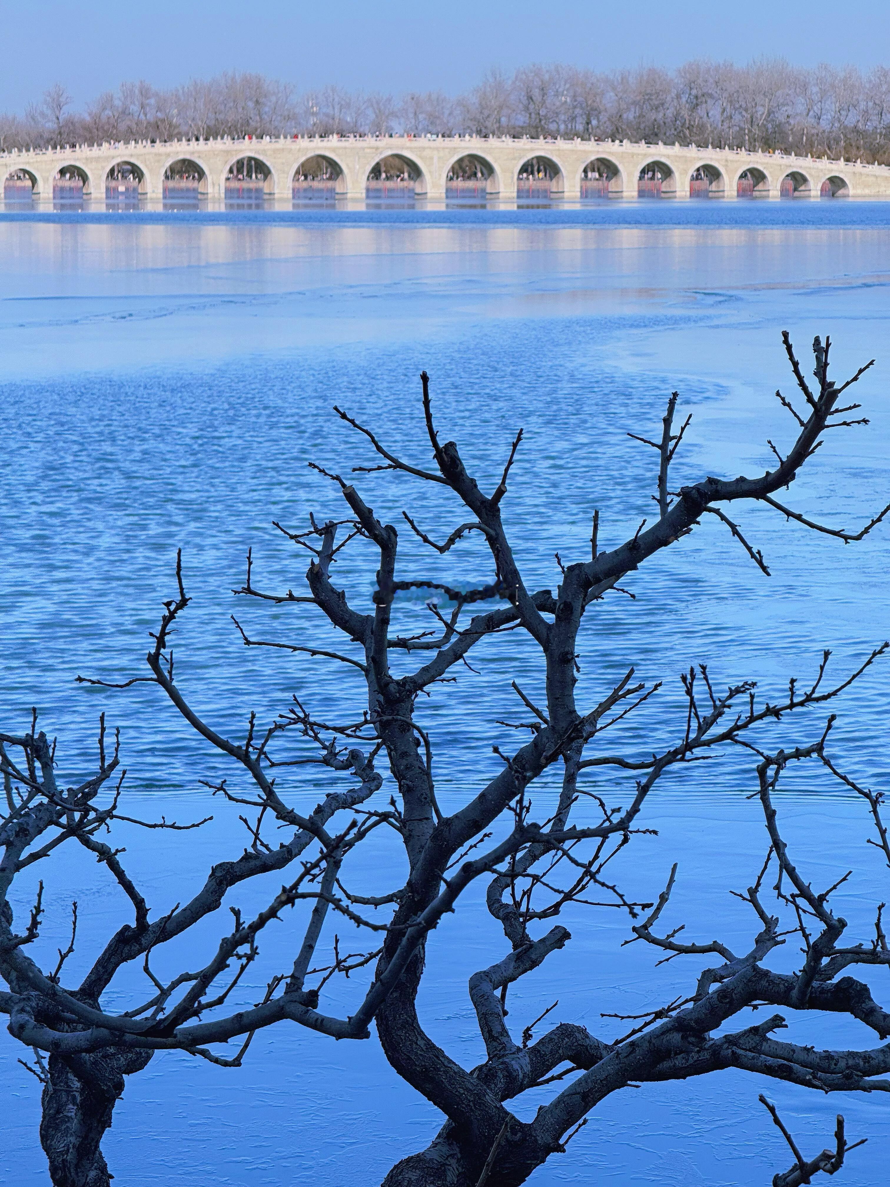 颐和园结冰进度条开始加载颐和园终于结冰啦！