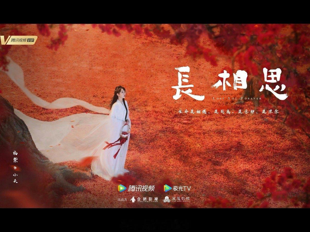 近三年流量花一番集均最高盘点：杨紫：长相思7600+(2023🐧单平台)赵